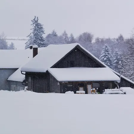 Landhaus Auf Der Alm Langschlag  Exterior photo