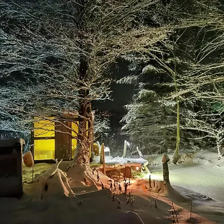 Landhaus Auf Der Alm Langschlag  Exterior photo