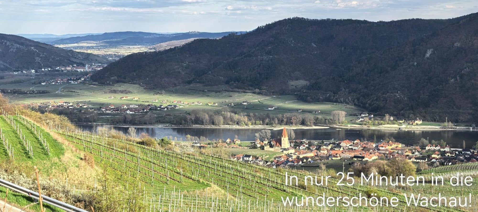 Auf Der Alm