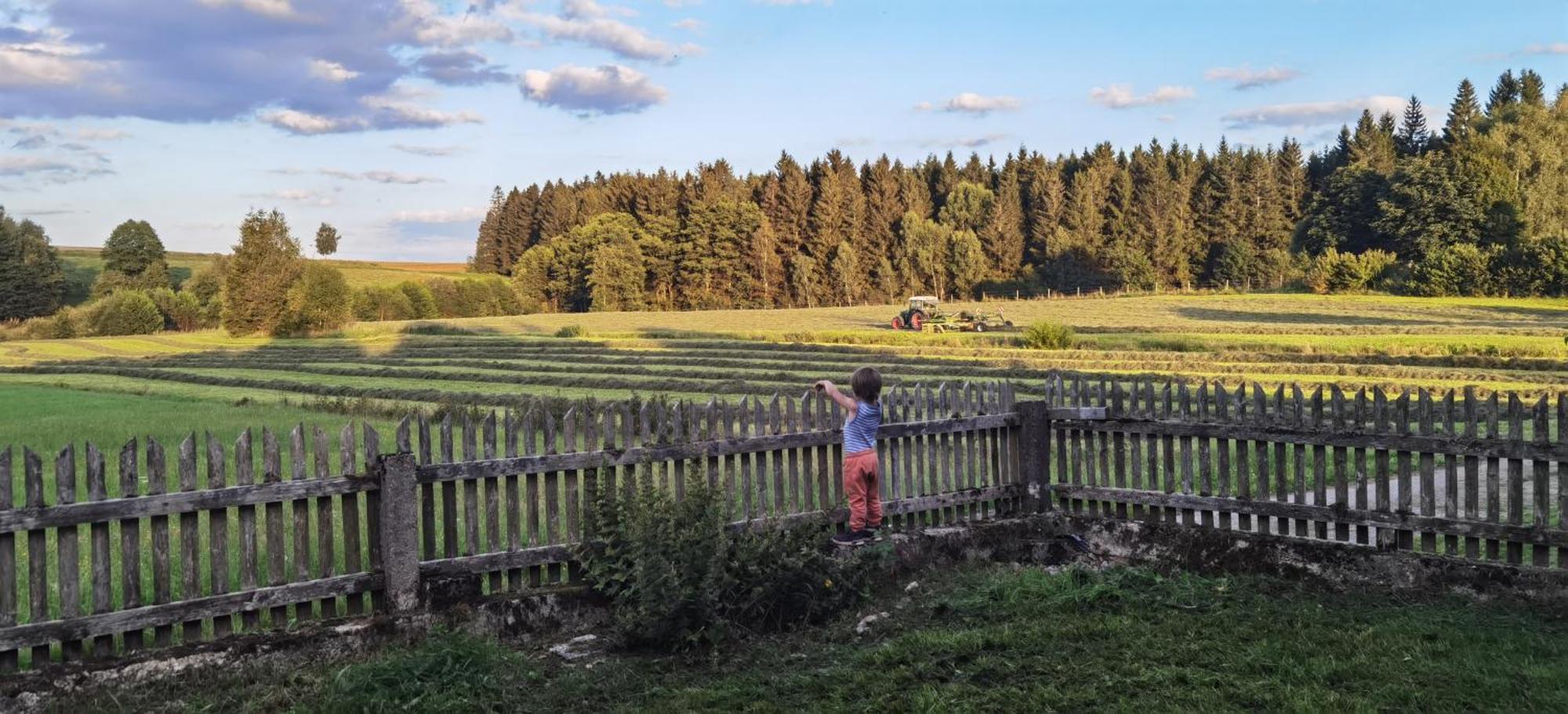 Auf Der Alm Country house *