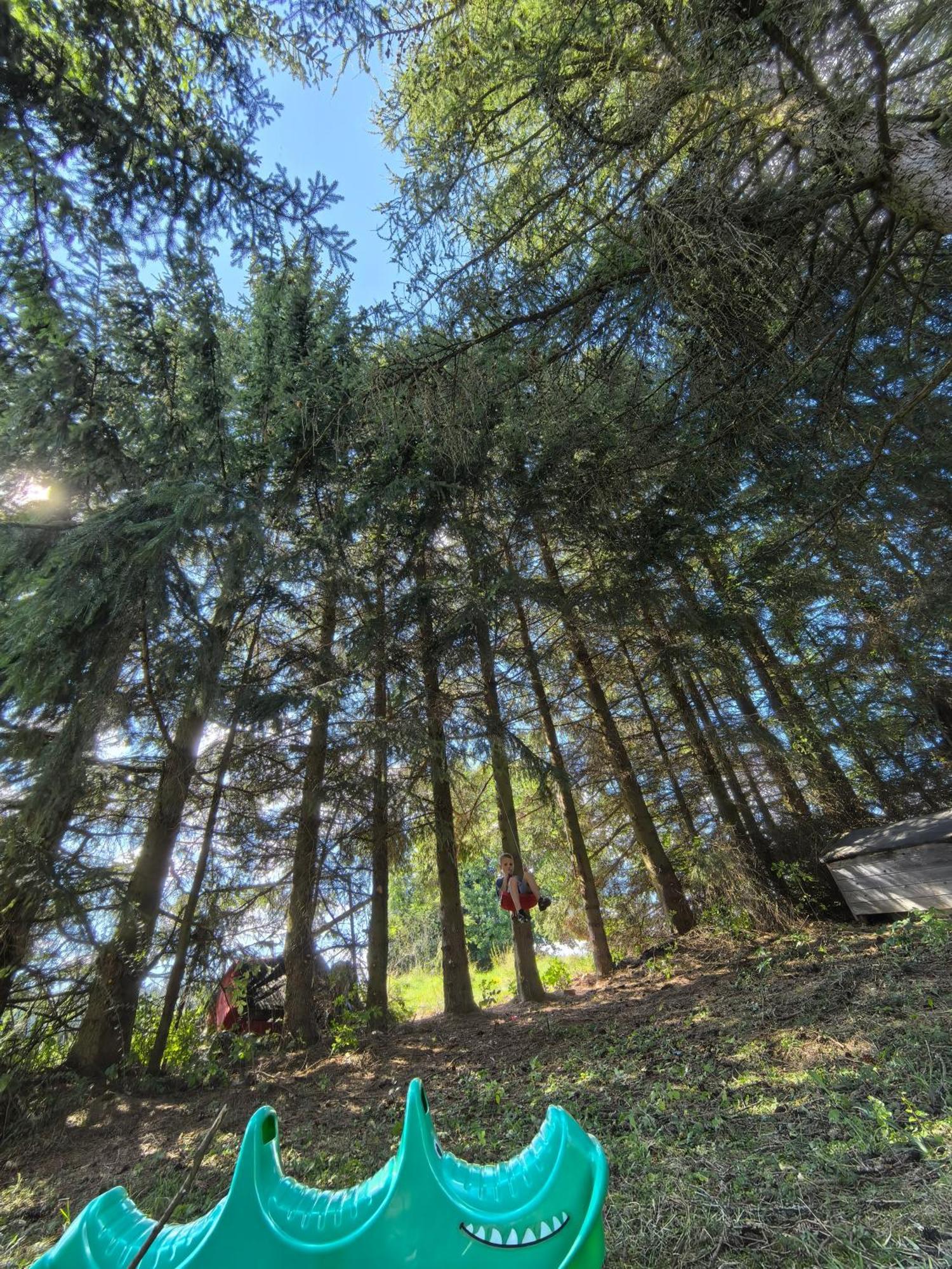 Country house Auf Der Alm *