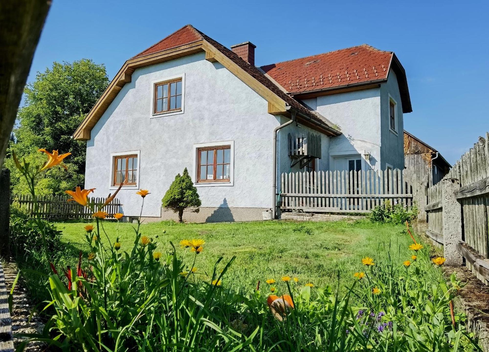 Auf Der Alm