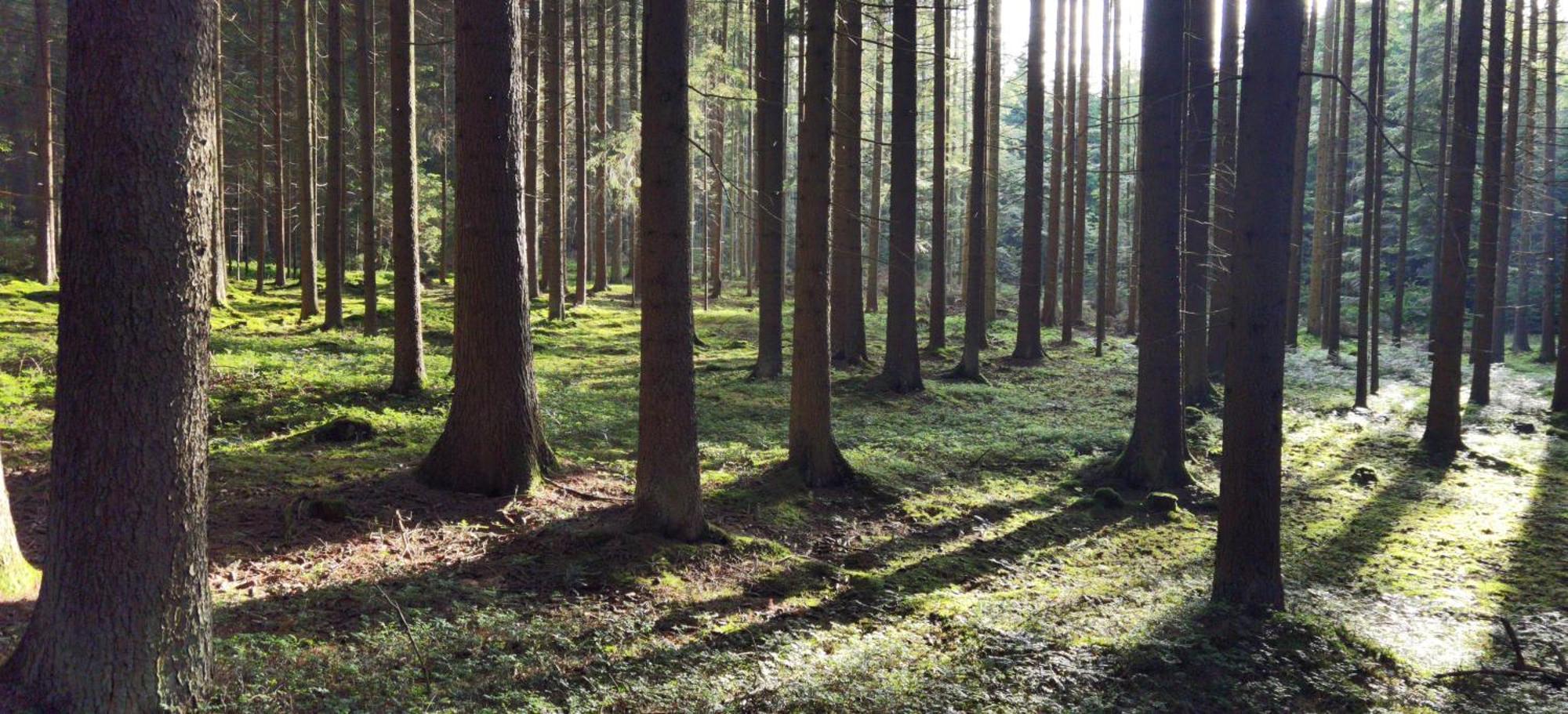 Auf Der Alm Venkovský dům *