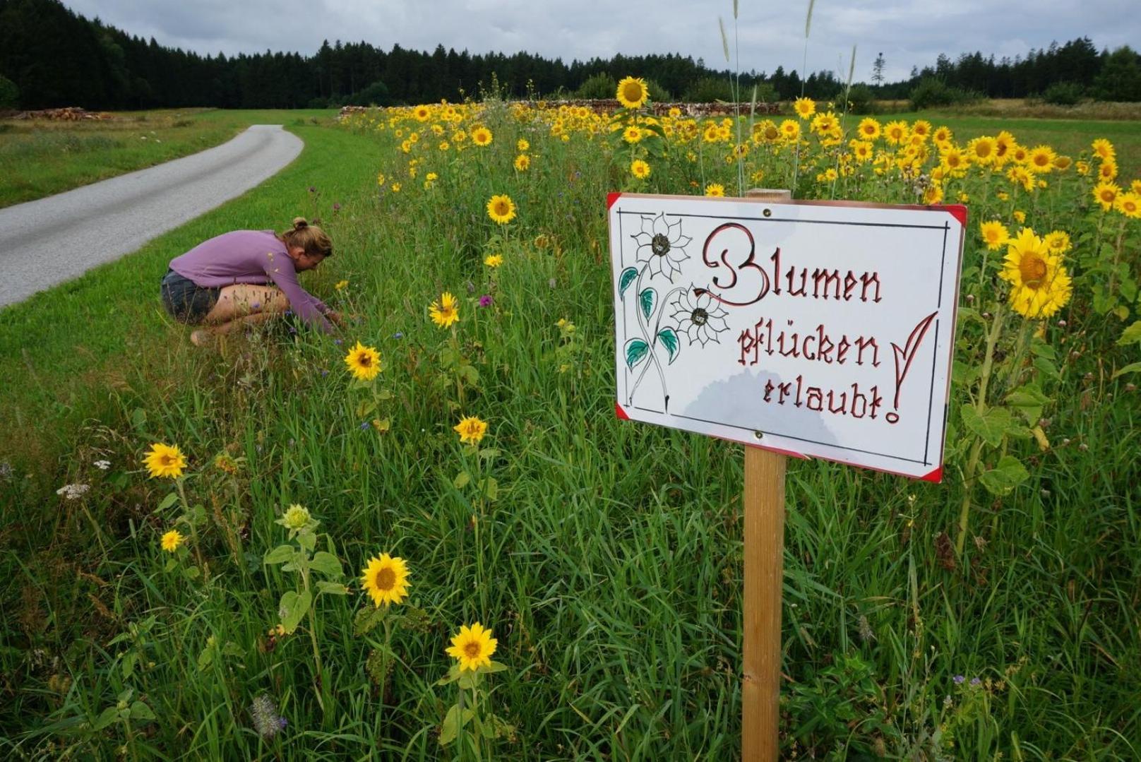 Auf Der Alm *