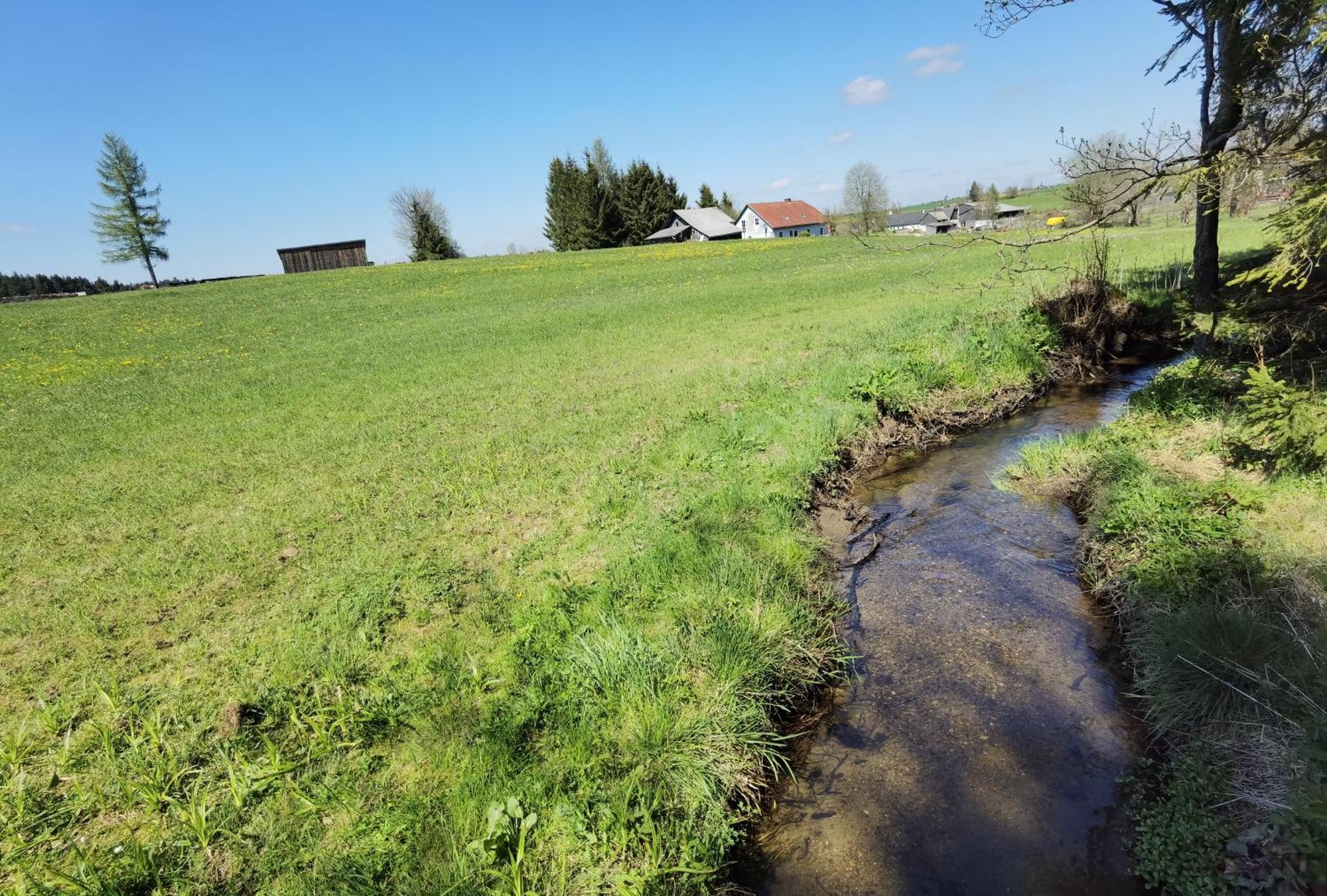 Auf Der Alm Venkovský dům Langschlag (Grafenschlag)