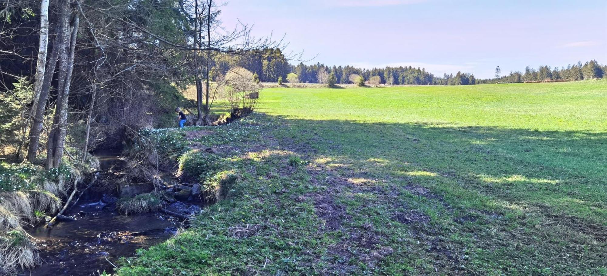 Venkovský dům Auf Der Alm Langschlag (Grafenschlag)