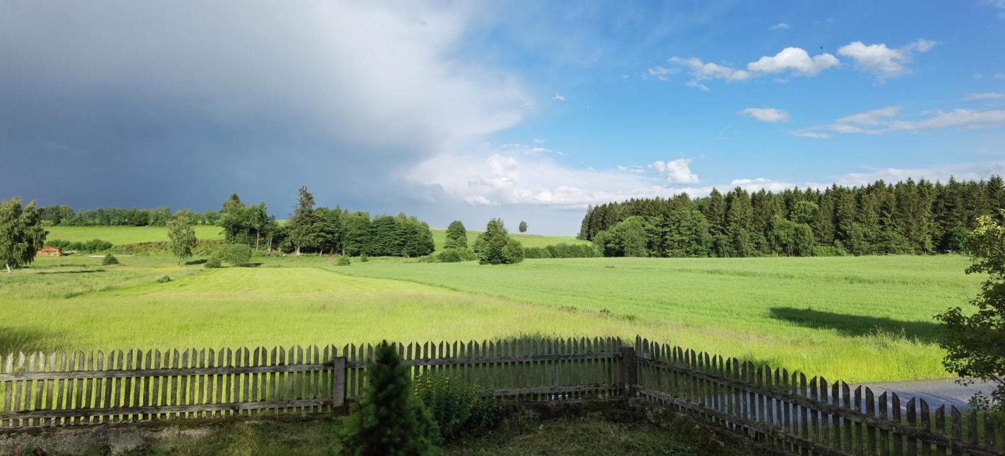 Auf Der Alm *