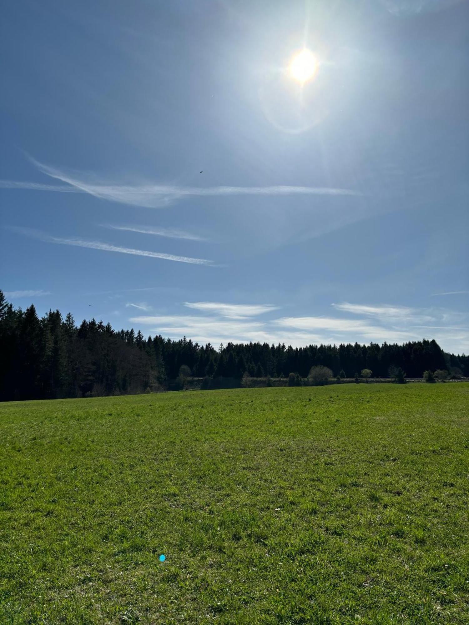 Auf Der Alm Country house Langschlag (Grafenschlag)