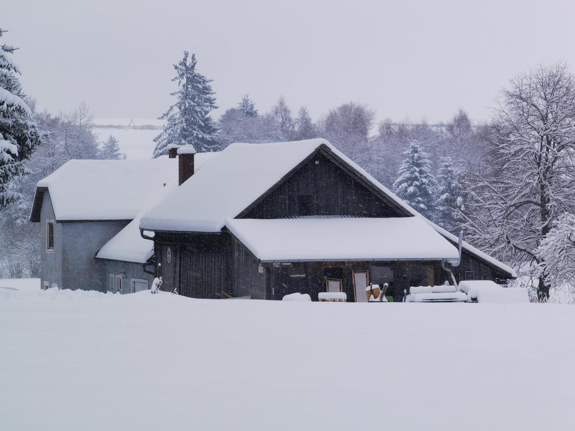 Auf Der Alm *