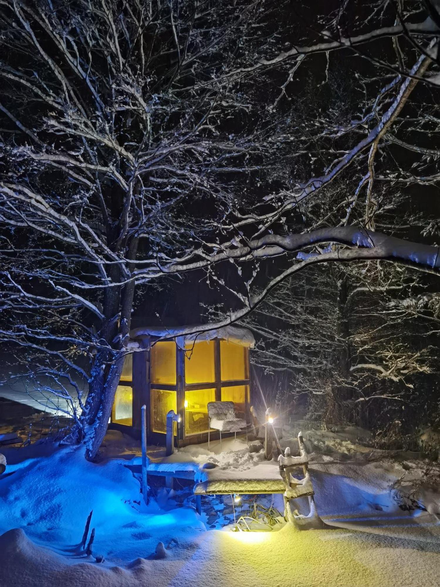 Auf Der Alm