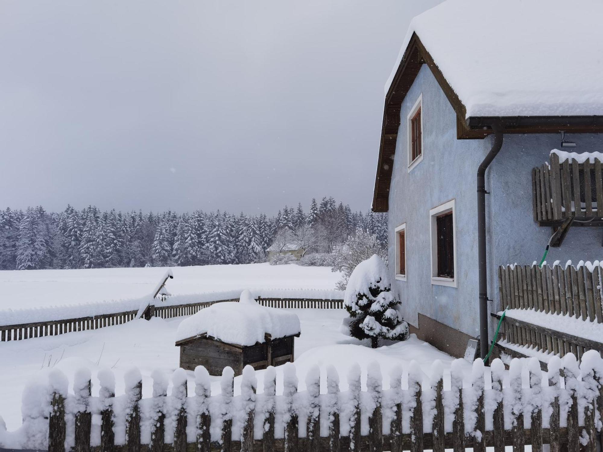 Auf Der Alm * Langschlag (Grafenschlag)