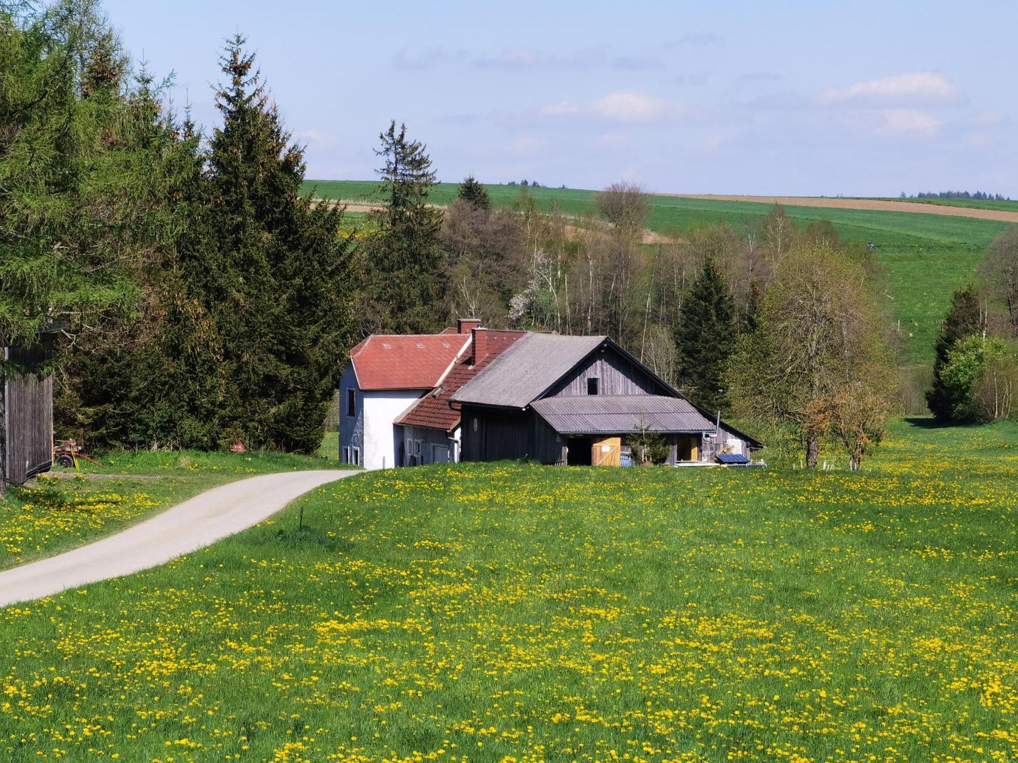 Country house Auf Der Alm *
