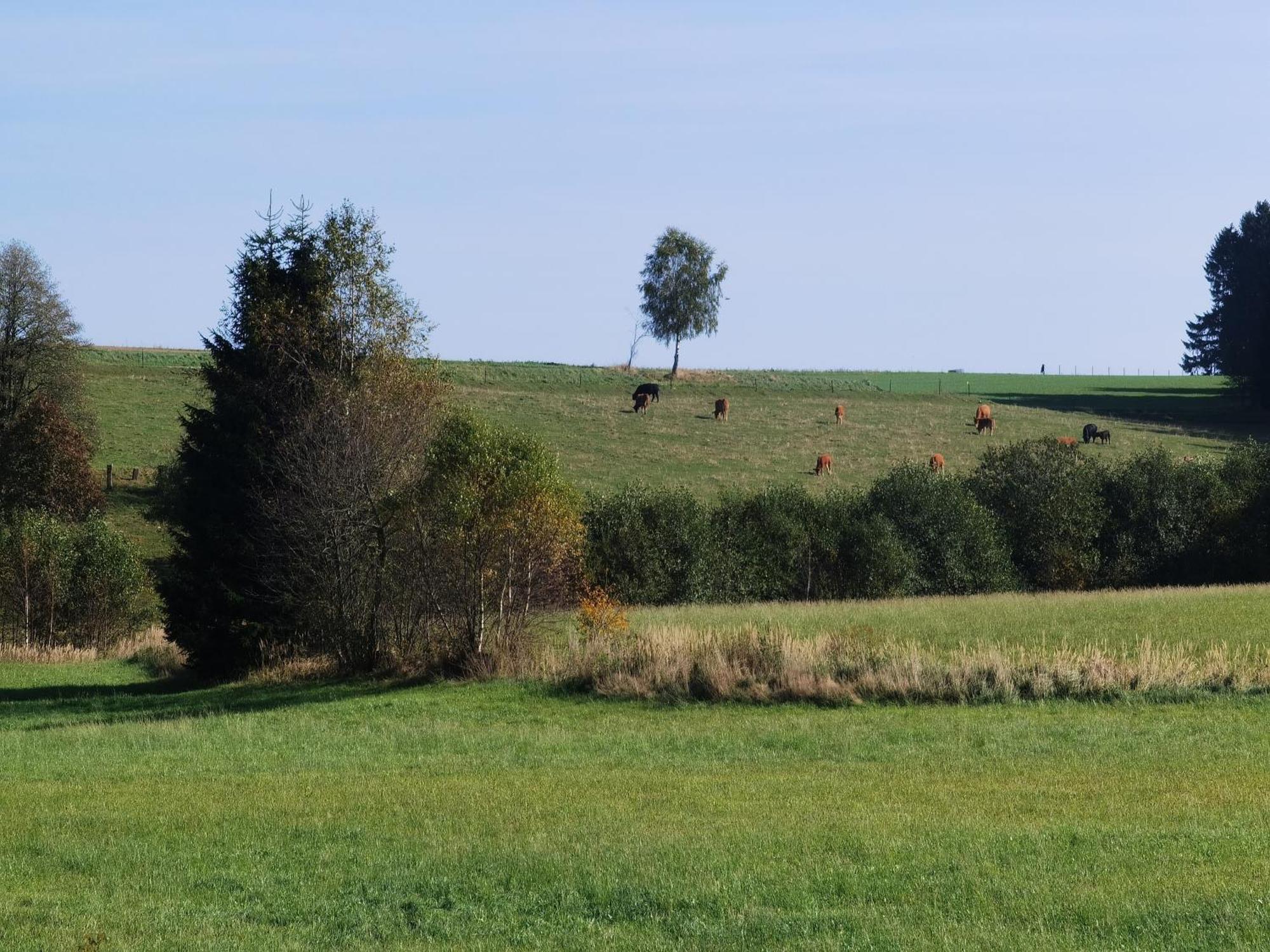 Venkovský dům Auf Der Alm Langschlag (Grafenschlag)