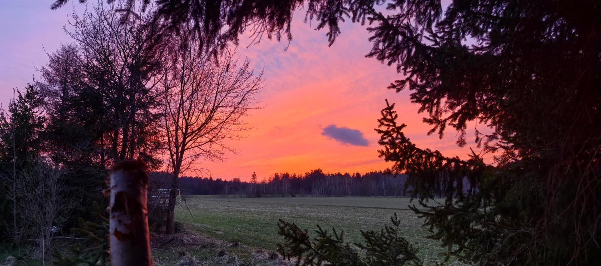 Auf Der Alm Venkovský dům